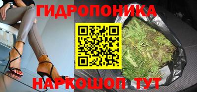 хмурый Малгобек