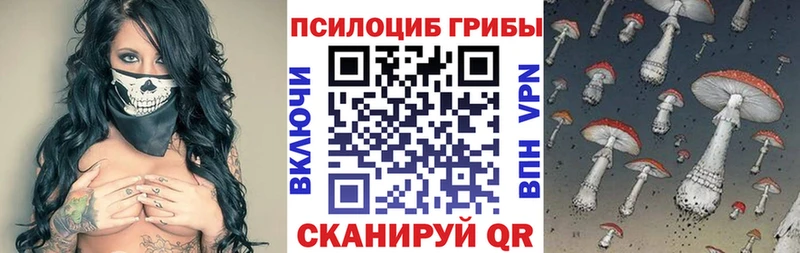 Галлюциногенные грибы Psilocybine cubensis  наркотики  Губаха 