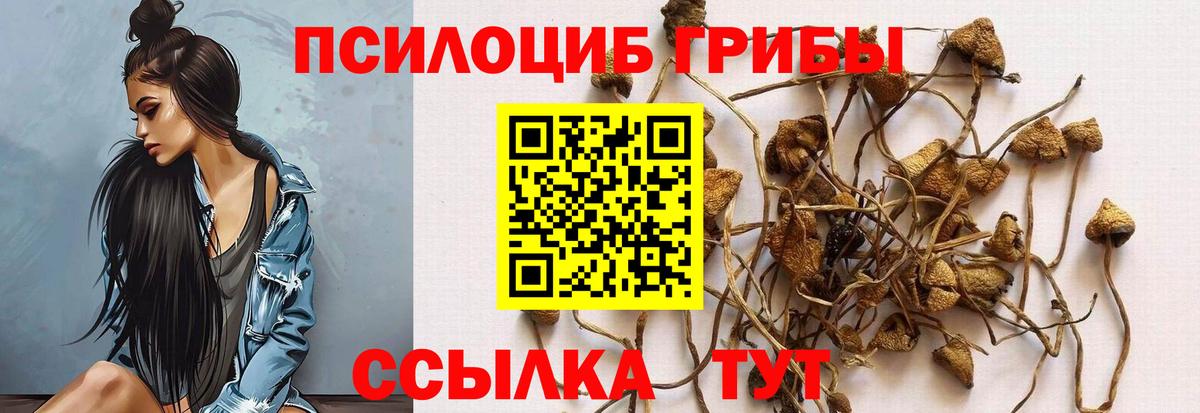 Псилоцибиновые грибы ЛСД Губаха