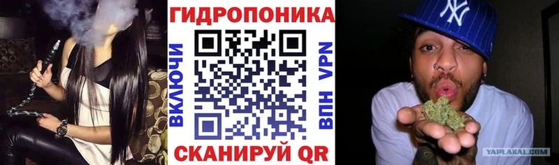 Бошки Шишки Amnesia купить Губаха