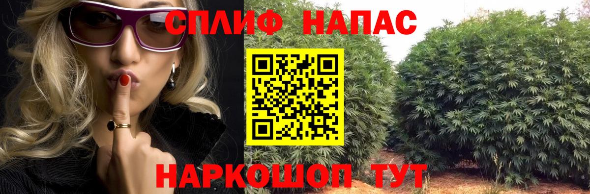 Губаха  Шишки марихуана индика  Шишки марихуана White Widow  Шишки марихуана марихуана  Вход с VPN 